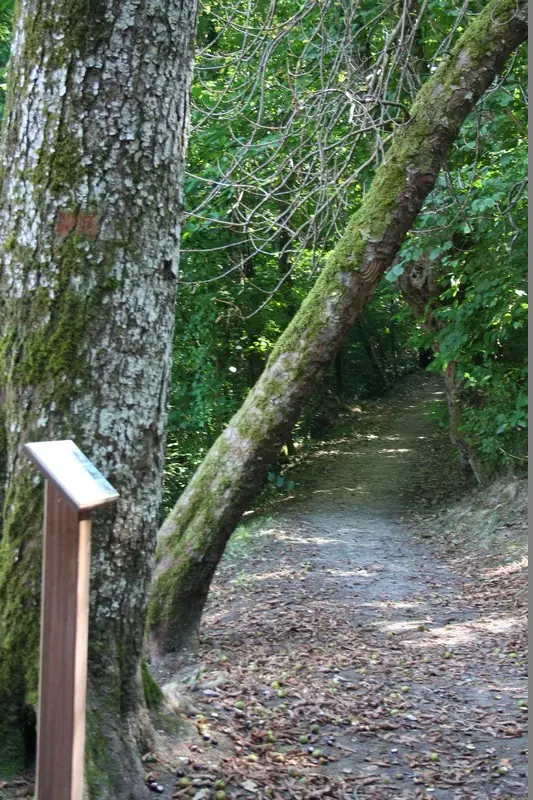 Chapelle des Bois