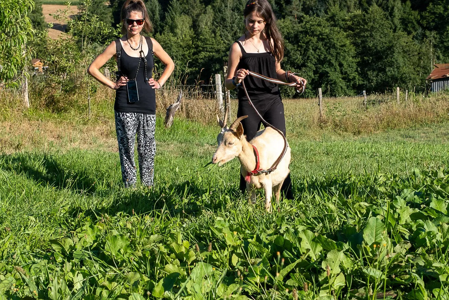 Visite active et pédagogique de la ferme Equi'libre