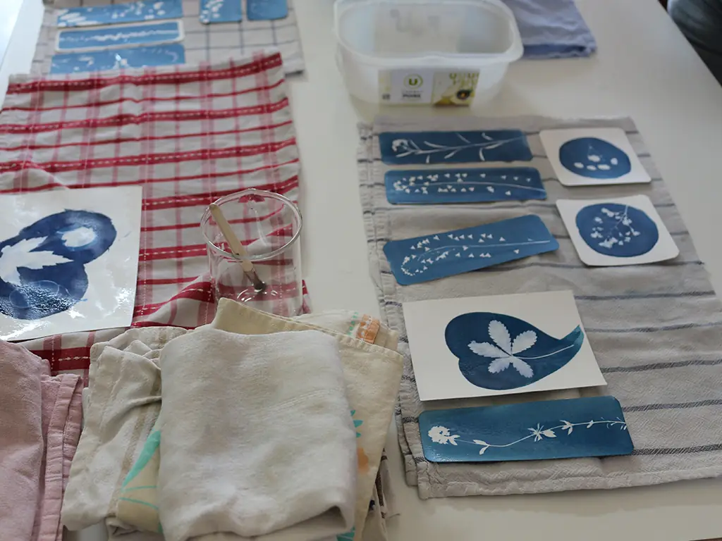 Atelier cyanotypes