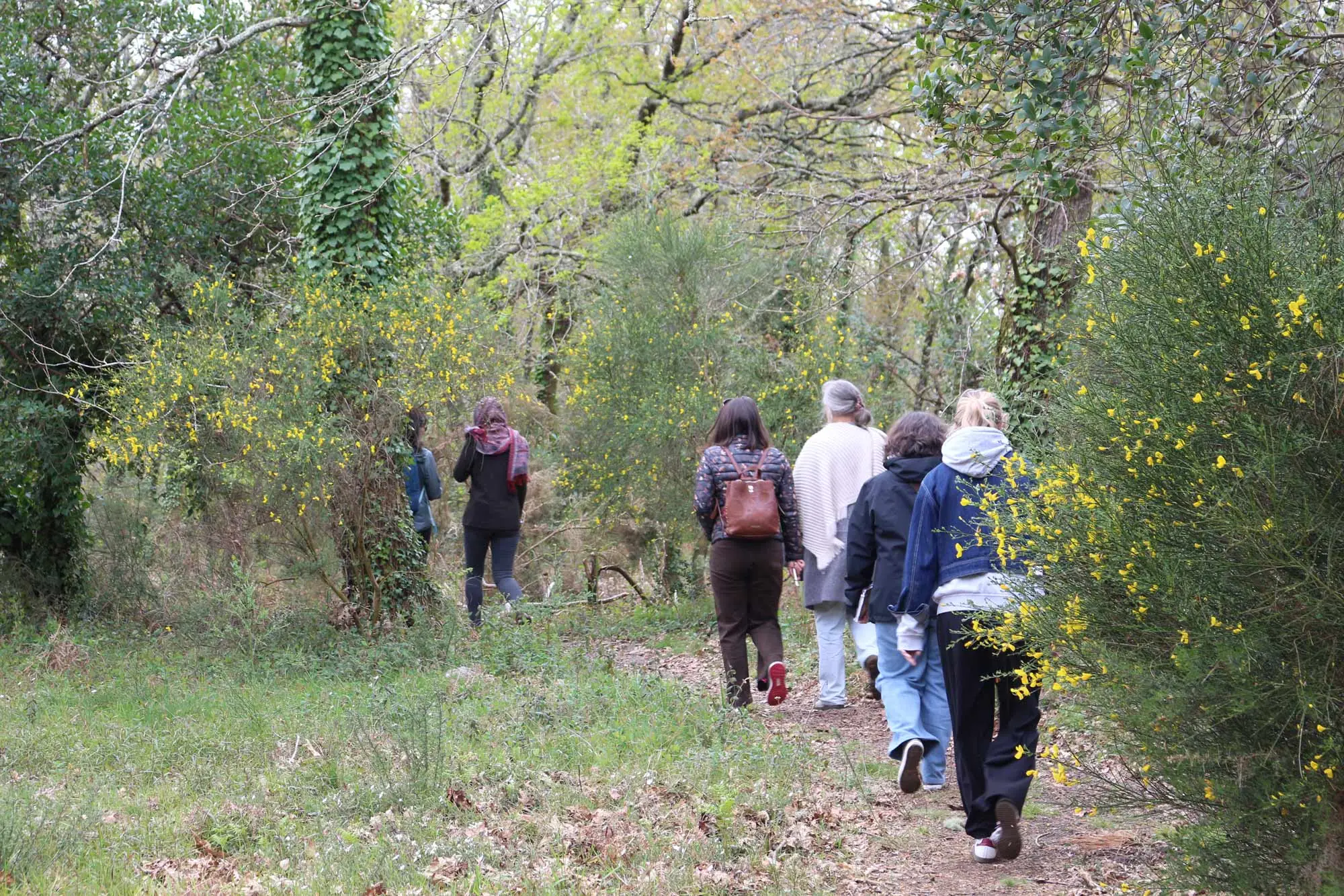 Balade sensorielle et immersive en forêt