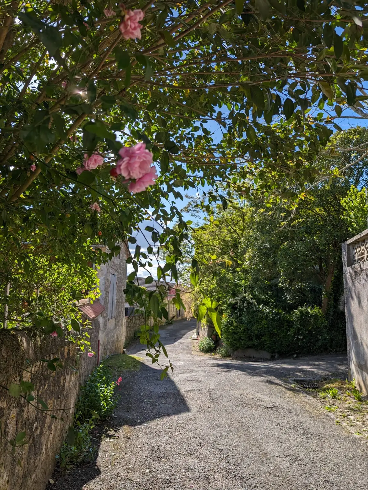 Octobre rose à Sainte-Colombe-en-Brulhois