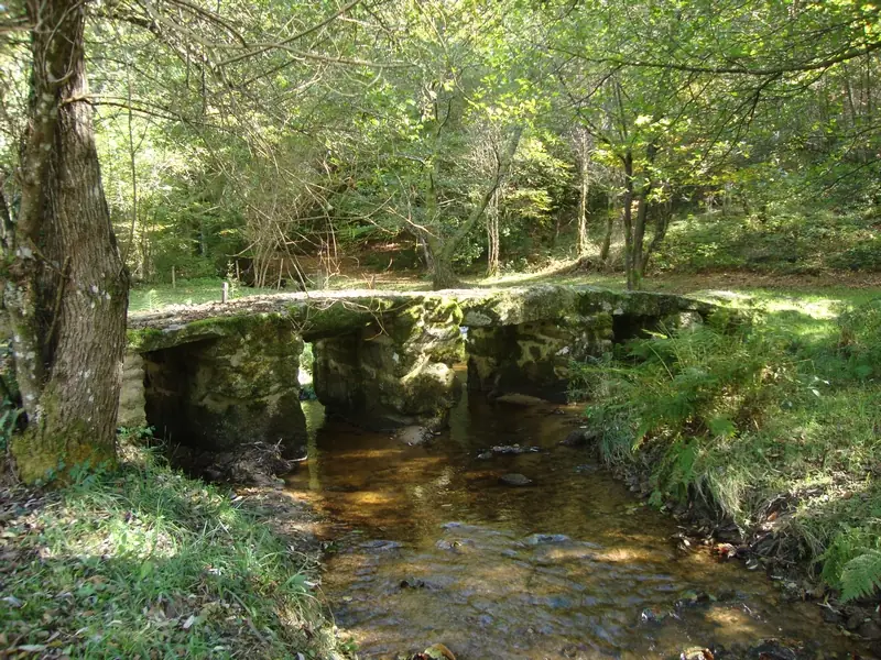 Pont médiéval 'dit romain'