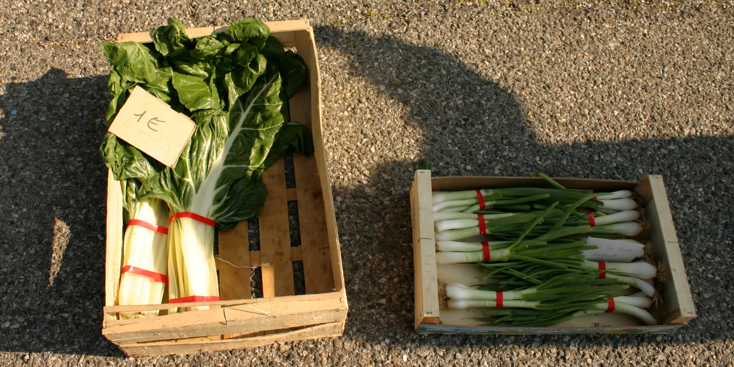 Marché des producteurs