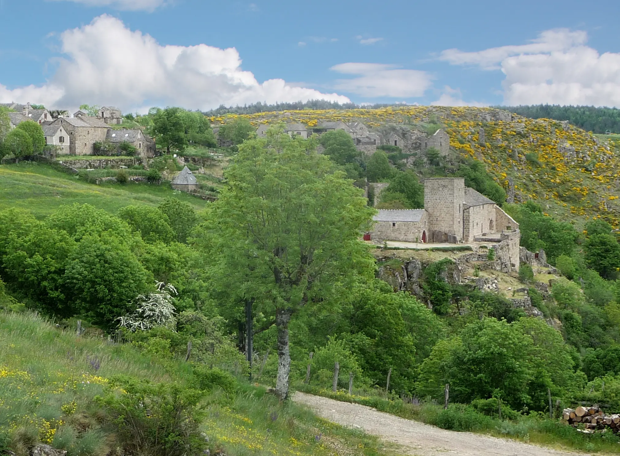 CHATEAU DE GRIZAC