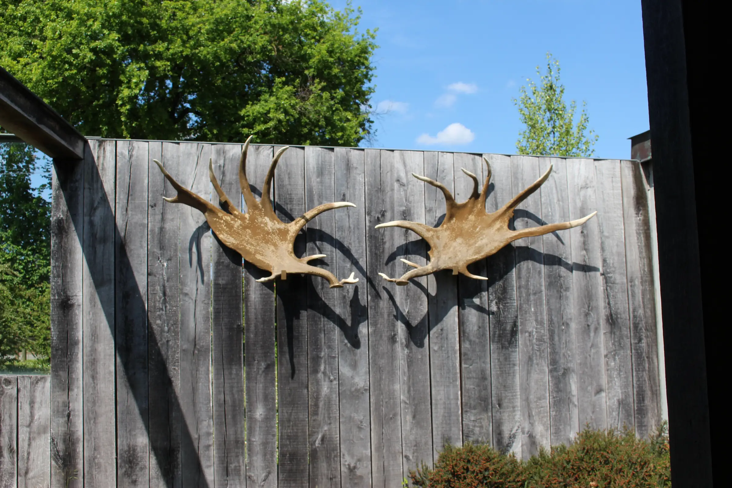 Grotte de Pair-non-Pair