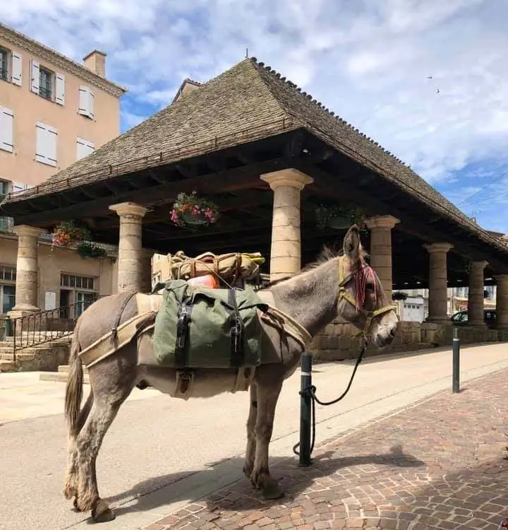 HALLE DE LANGOGNE