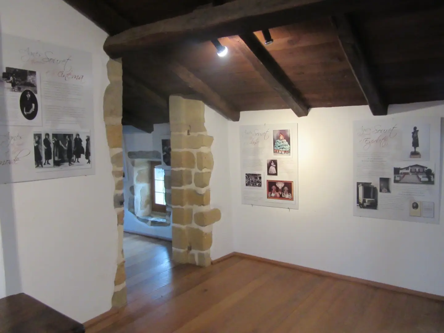 Exposition "Agnès Souret"