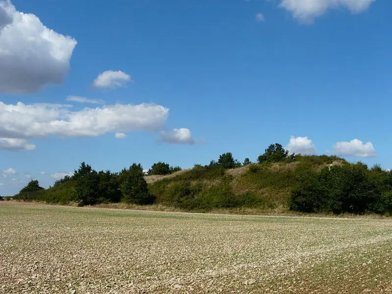 Tumulus du Puy Taillé