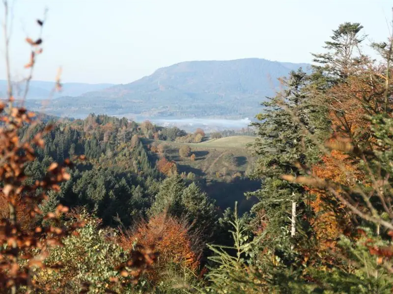 Visite guidée du chemin de la résistance