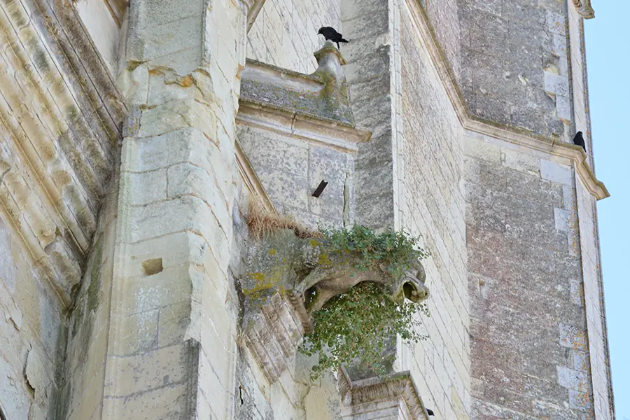 Collégiale Saint Maurice