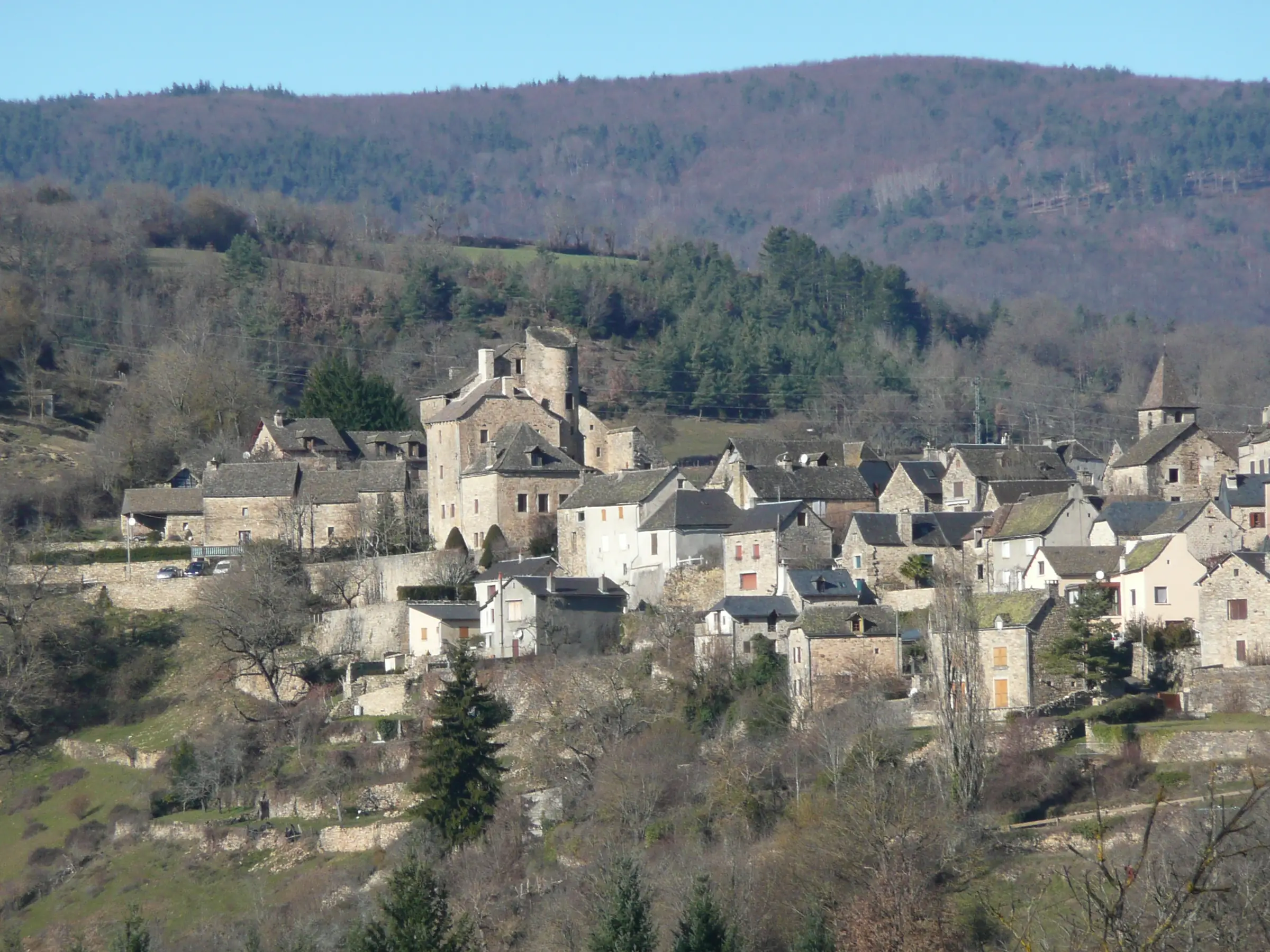 CHATEAU DE MONTJEZIEU