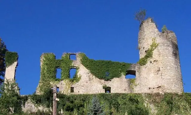 Ruines du Château de Frauenberg