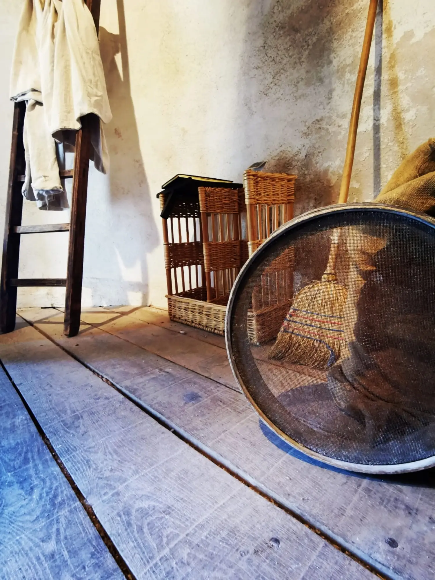 Visite guidée du moulin "Louis Ricard"