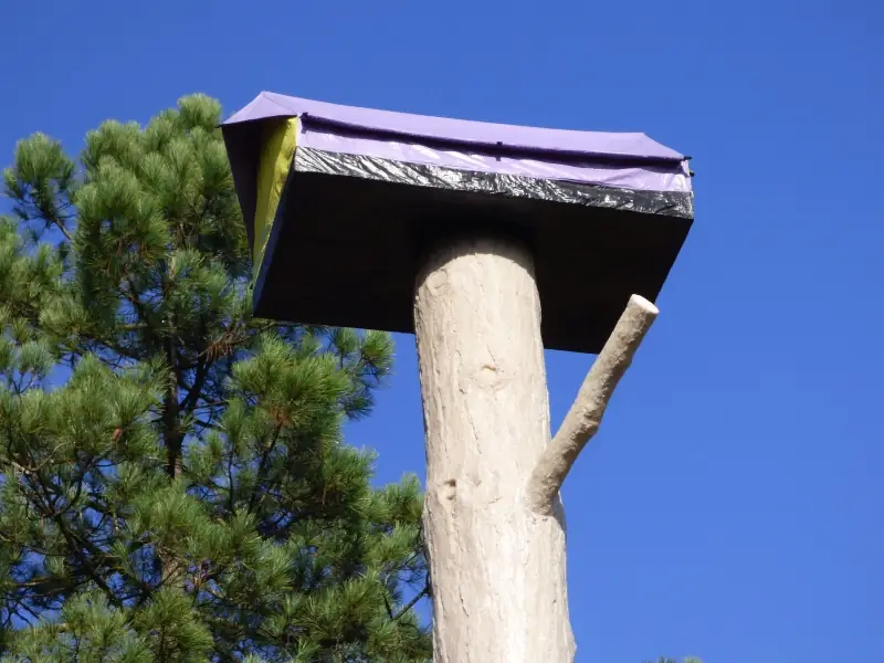 La Forêt d'Art Contemporain : "Le Pavillon", oeuvre n°17