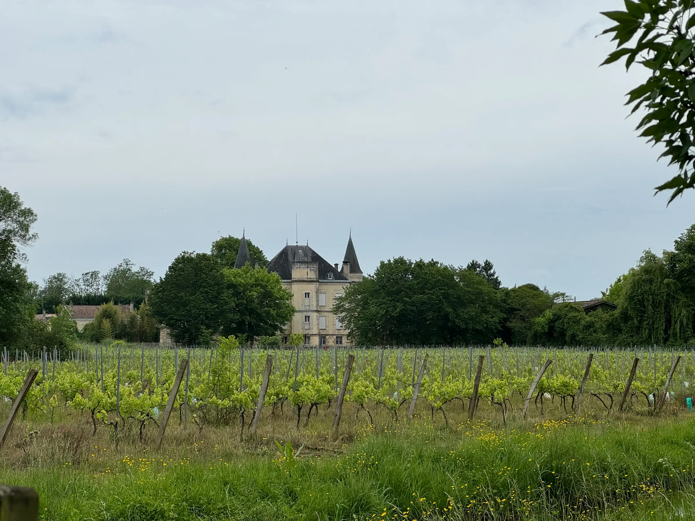 Un village en Gironde : Beautiran