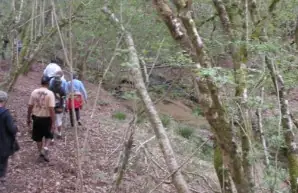 Les Mardis découverte " Le Vallon du Coulin"