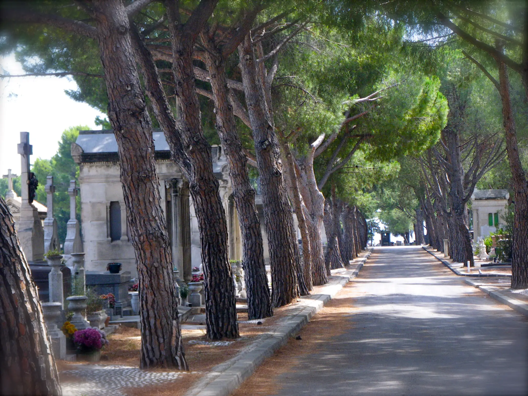 Cimetière Saint Pierre