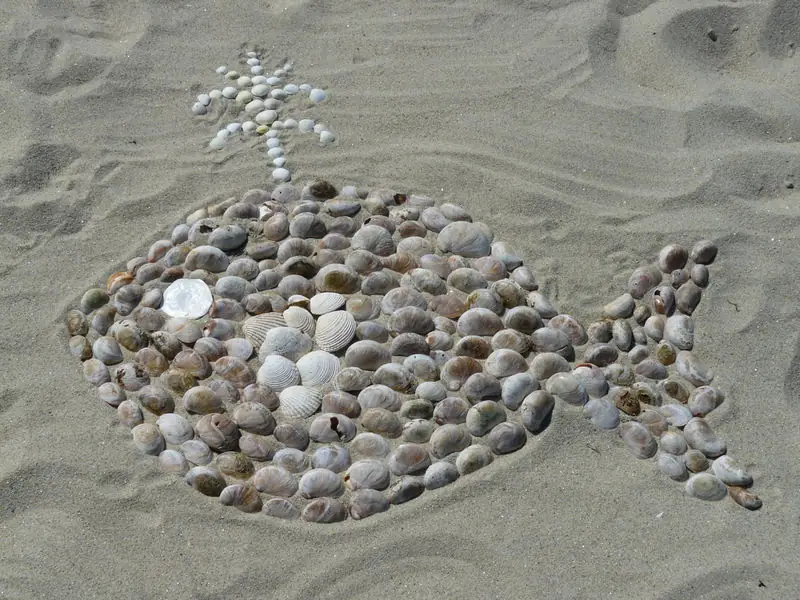 Balade découverte sur la plage d'Hermanville (comprend un atelier cerf volant)