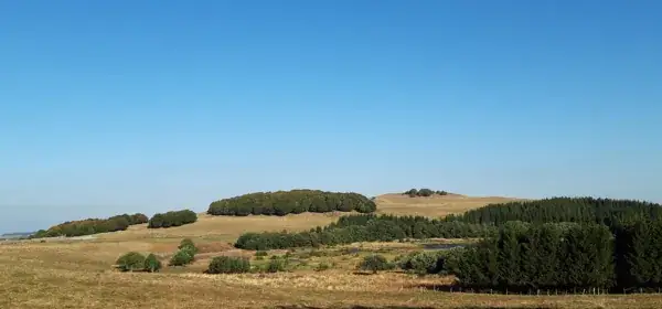 Balades d'Olt à l'Aubrac