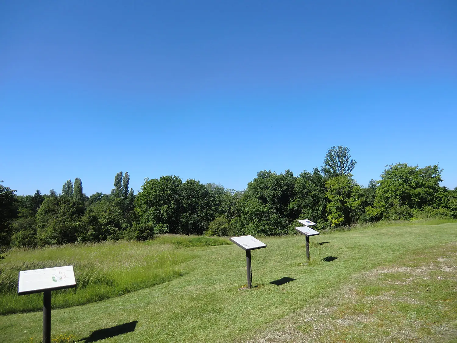 Champ de Bataille 1356
