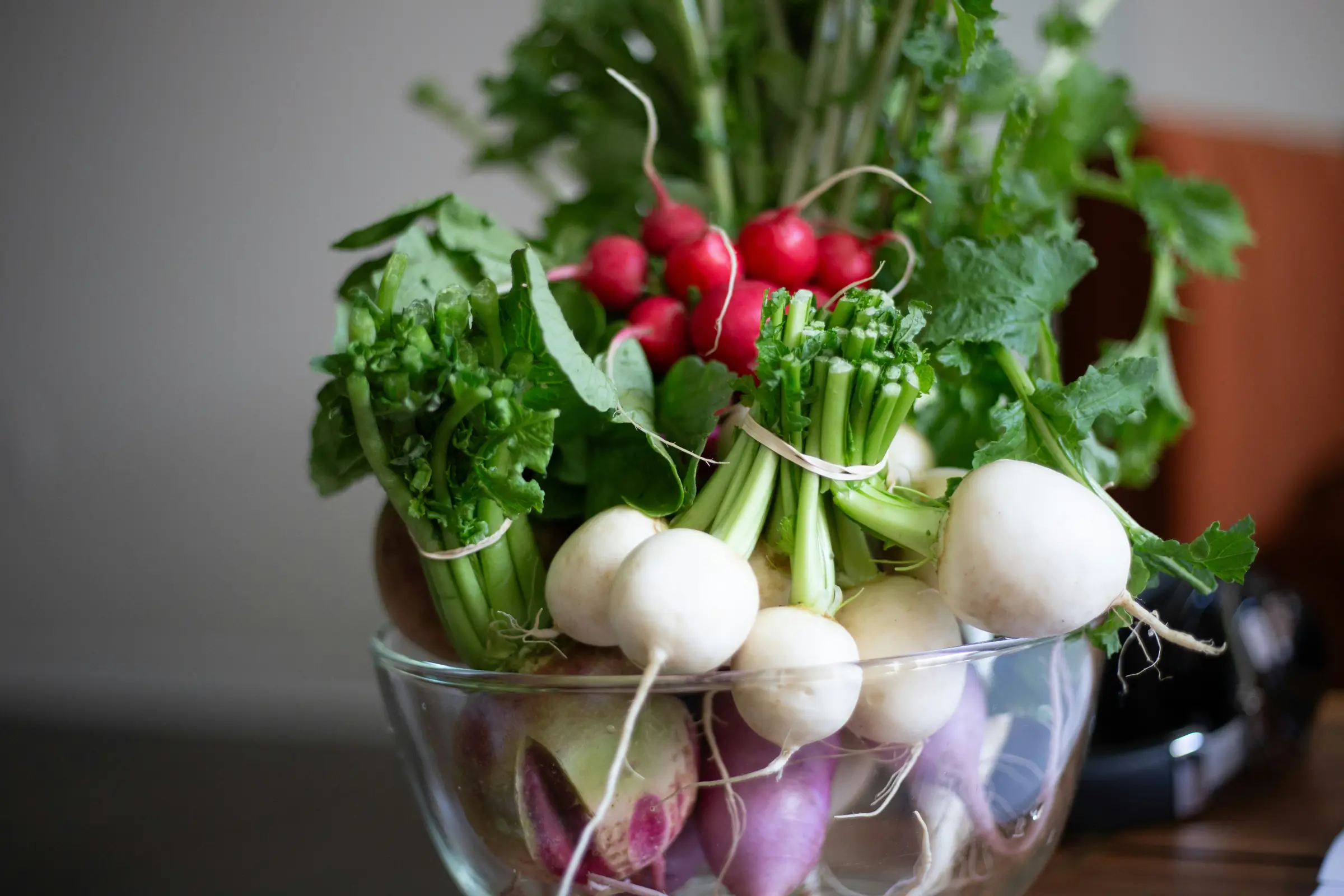Vente de plants de légumes bio
