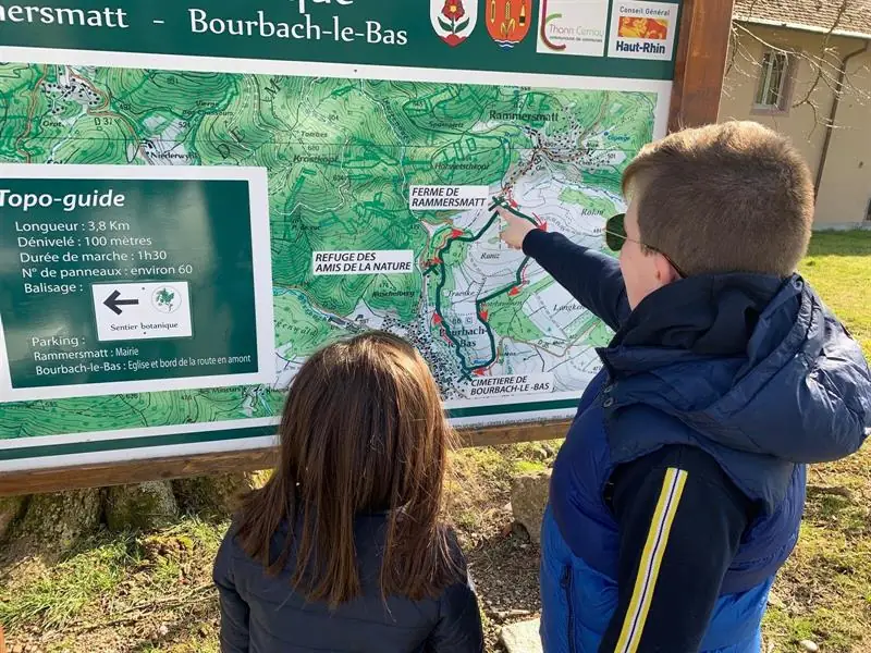 Activité : balade nature