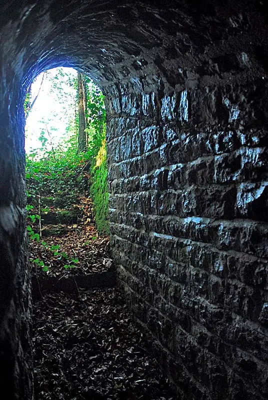 Batterie N°4 bis de Plesnoy