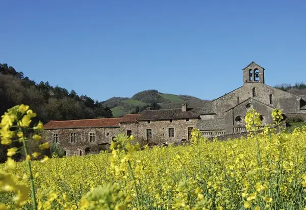 Abbaye de Sylvanès (groupes)