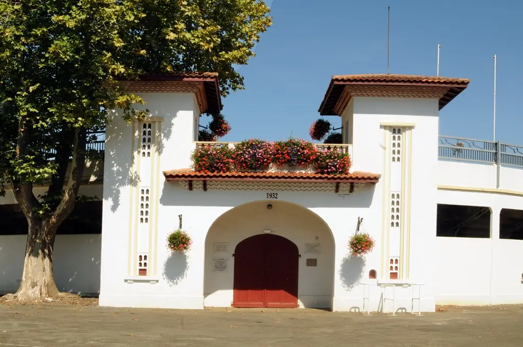 Course Landaise et jeux d'arènes
