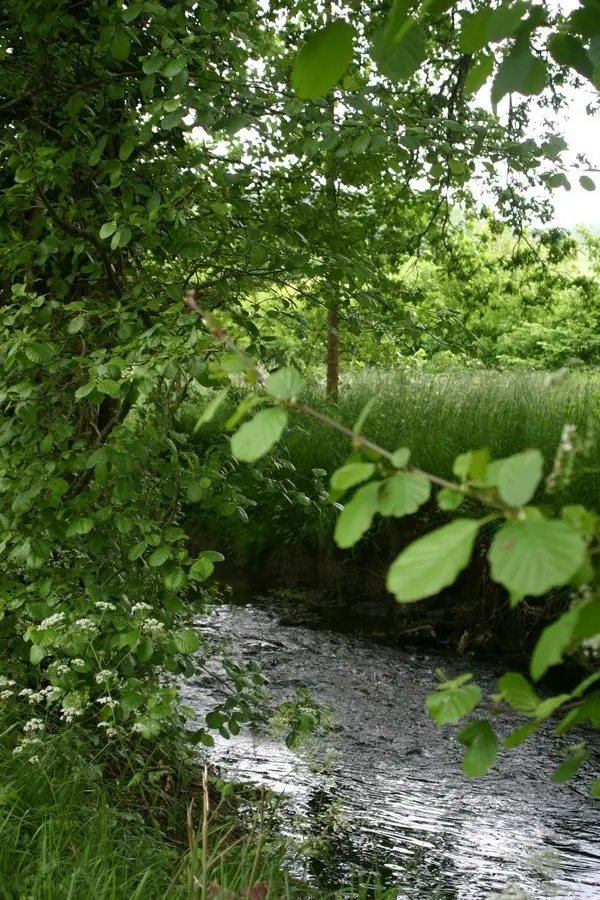 Moulin d'Acquit