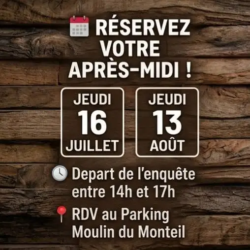 Mystère au coeur de la forêt