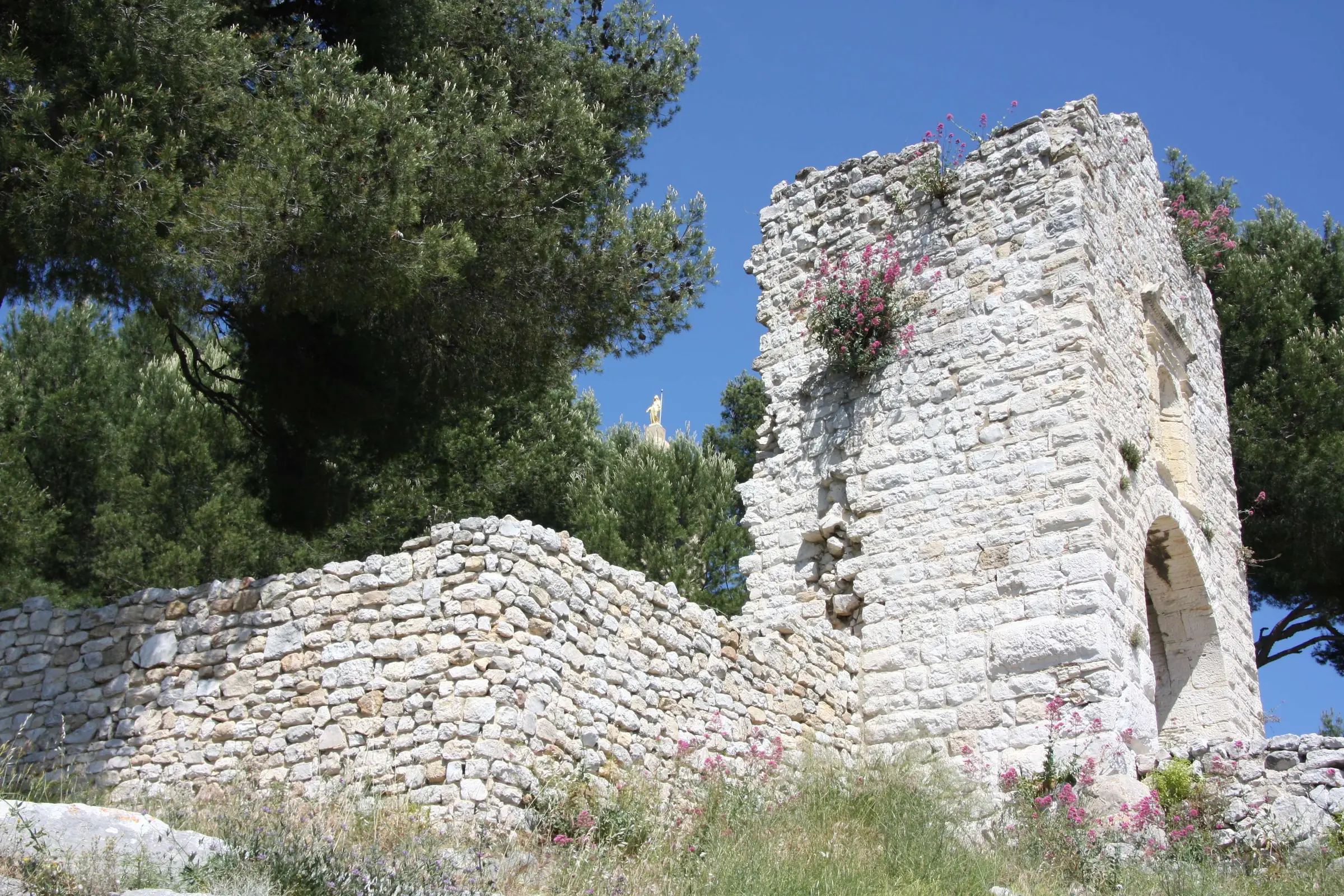 L'ancien castrum d'Allauch