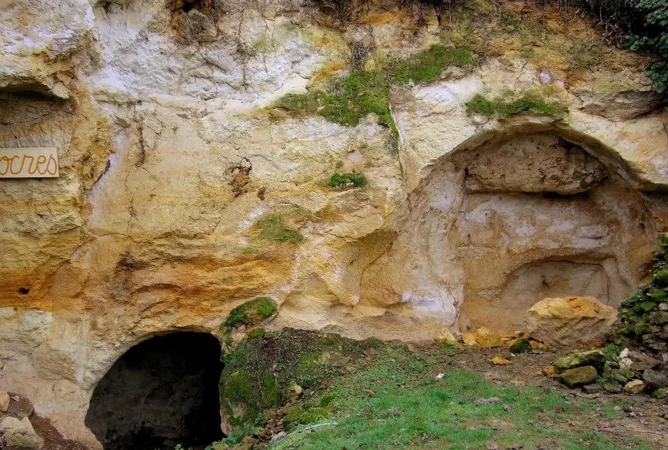 Troglodytes de la Tourette