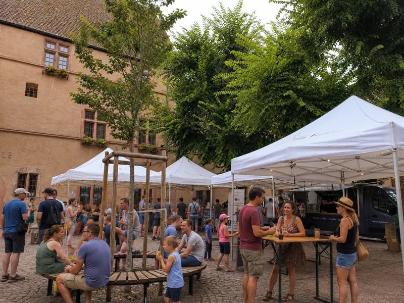 Les nocturnes de Kaysersberg Vignoble