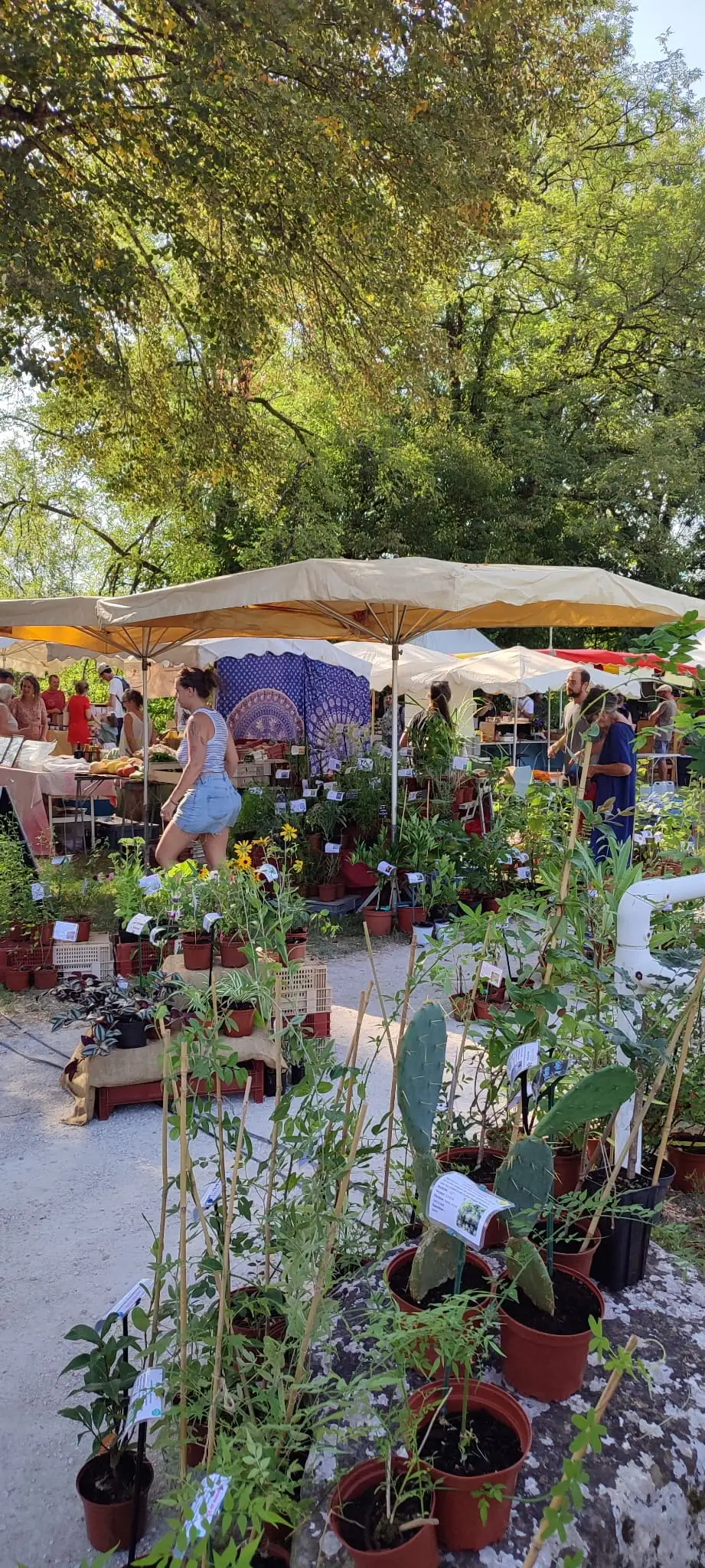 Foire bio et artisanale de Beaulieu sur Dordogne