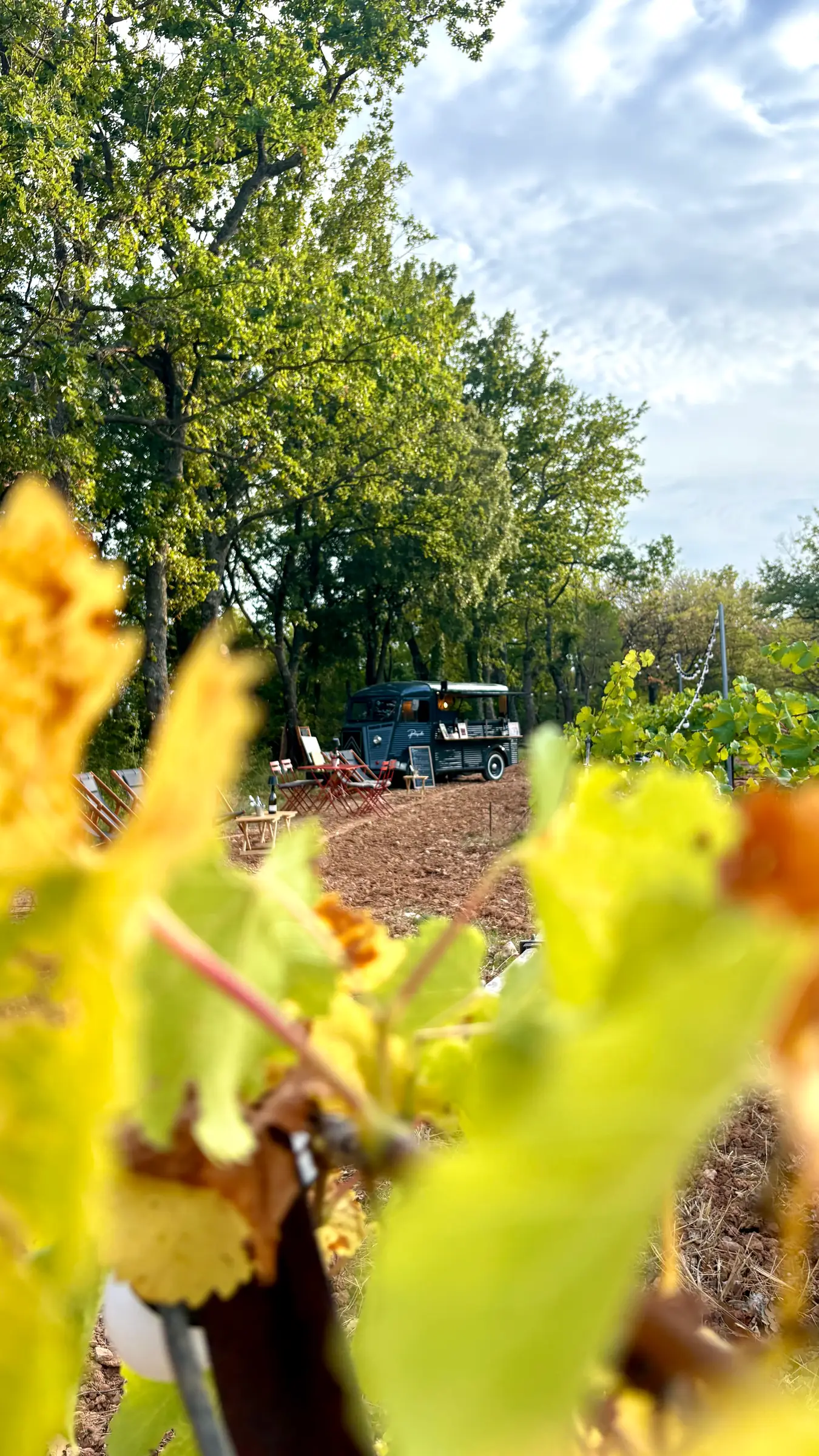 Rendez-vous dans les vignes