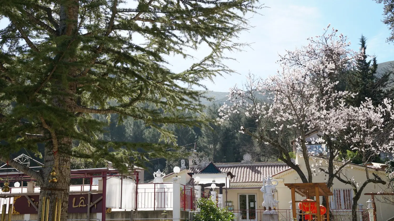 ABVF Pagode Truc Lâm