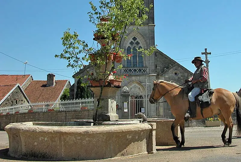 Fontaine de la Godelaine à Chatoillenot