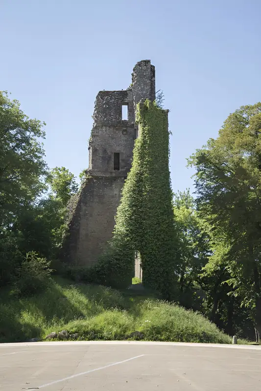 Donjon du Château Féodal