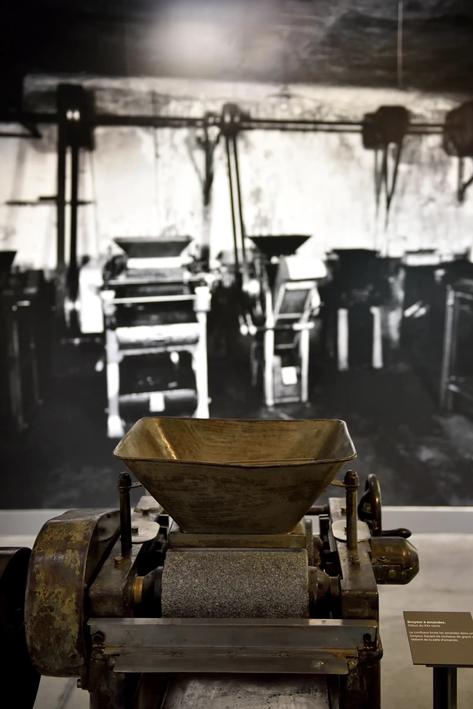 Visite guidée gourmande du Musée du Calisson suivie d'une dégustation