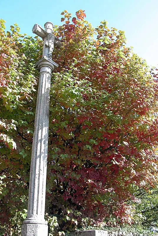 Croix de Saint-Broingt-le-Bois (1)