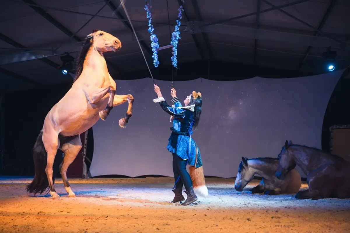 Spectacle équestre "Nahmar"