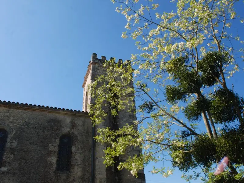 Eglise Notre-Dame de Cours-les-Bains