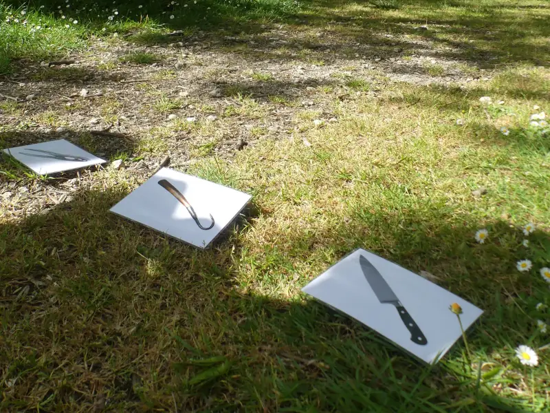 Enquête au marais à Terres d'Oiseaux