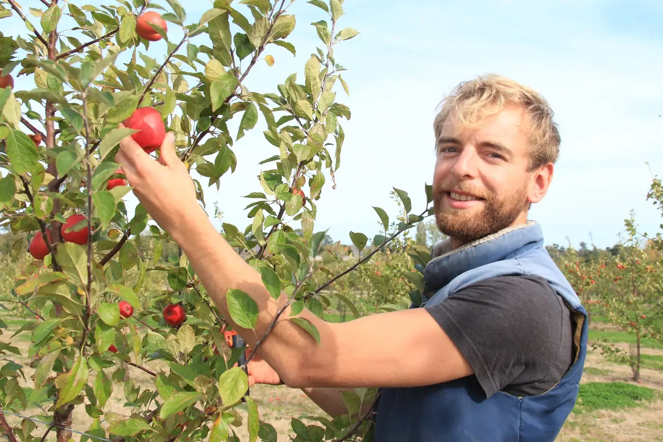 CIDRICCHUS - Le Cidre de Simon