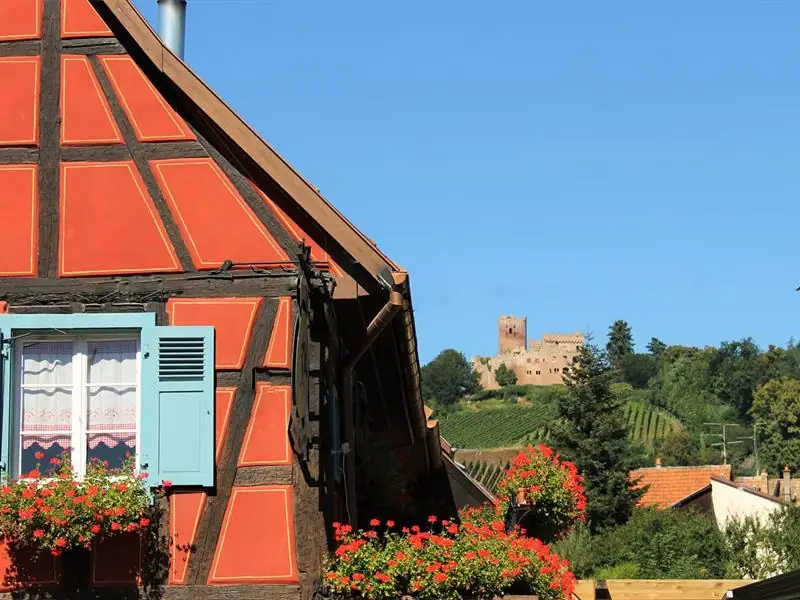 Kintzheim