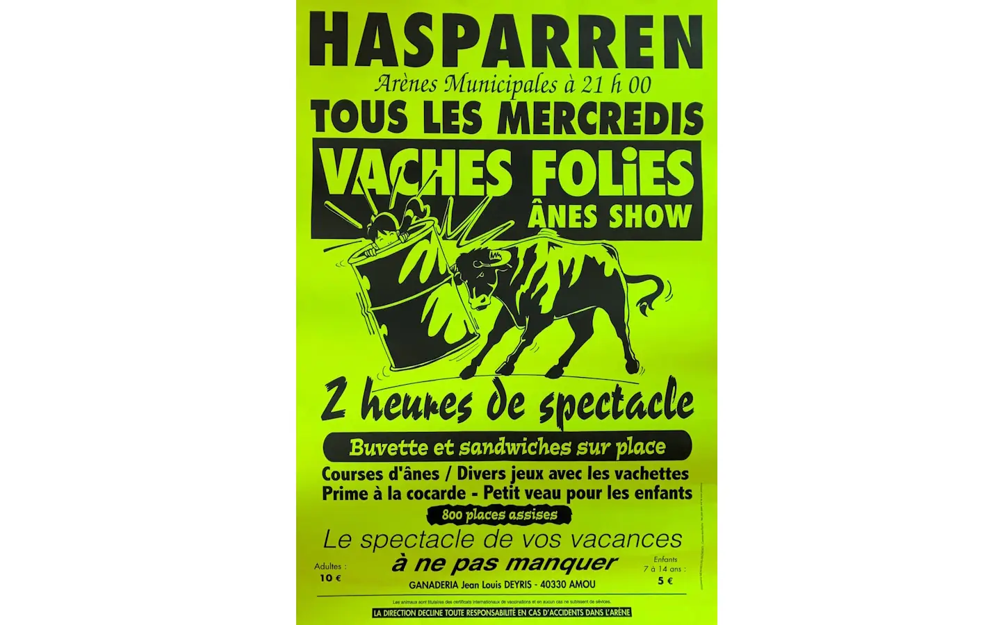 Course de vaches