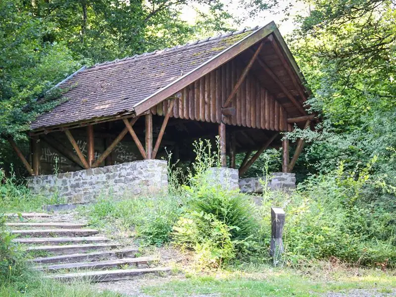 Les Rendez-vous Nature - La forêt des 5 sens, une aventure en famille