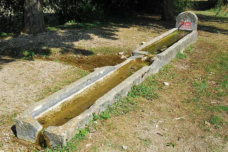 Auges d'eau vives à Poinsenot