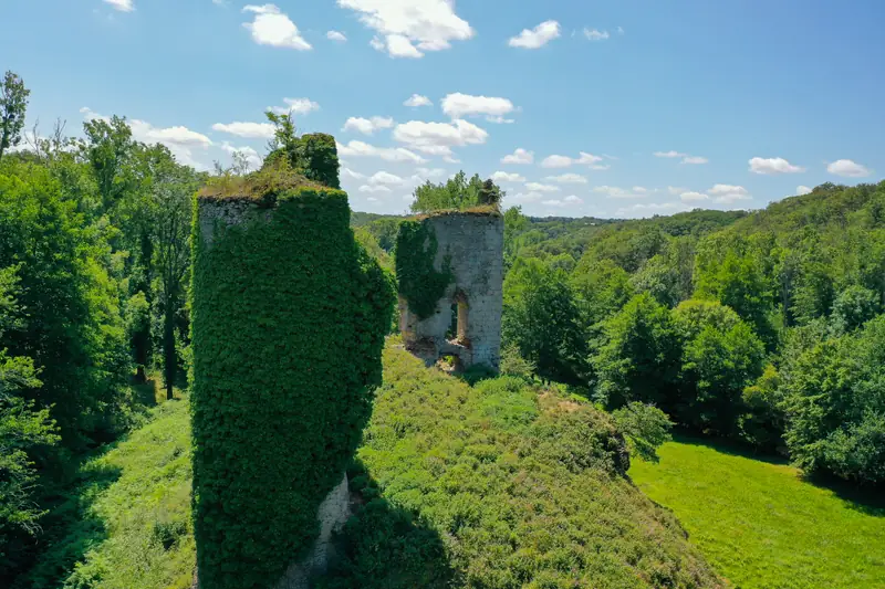Les Ruines du Château de Malval